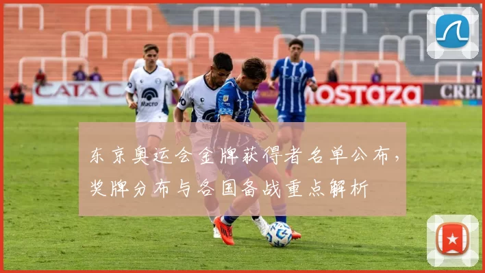 东京奥运会金牌获得者名单公布，奖牌分布与各国备战重点解析