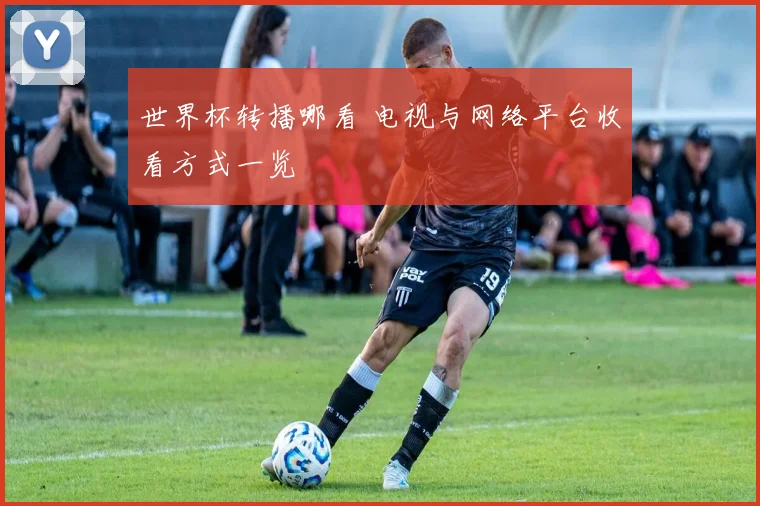 世界杯转播哪看 电视与网络平台收看方式一览