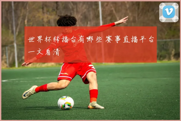 世界杯转播台有哪些 赛事直播平台一文看清